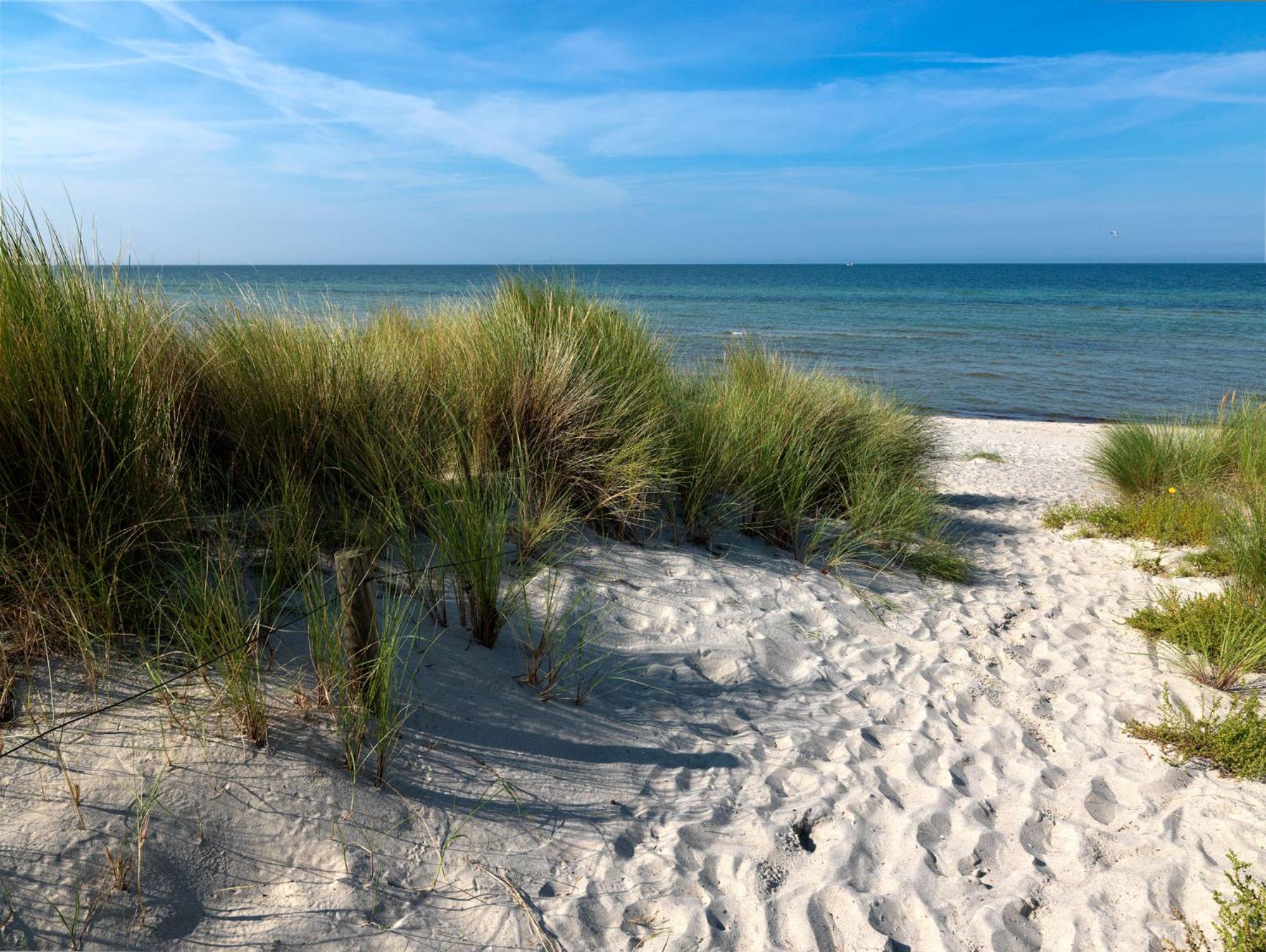 Daenische Ferienhaeuser Am Salzhaff Haus Kaept'N Nemo Insel Poel Bagian luar foto