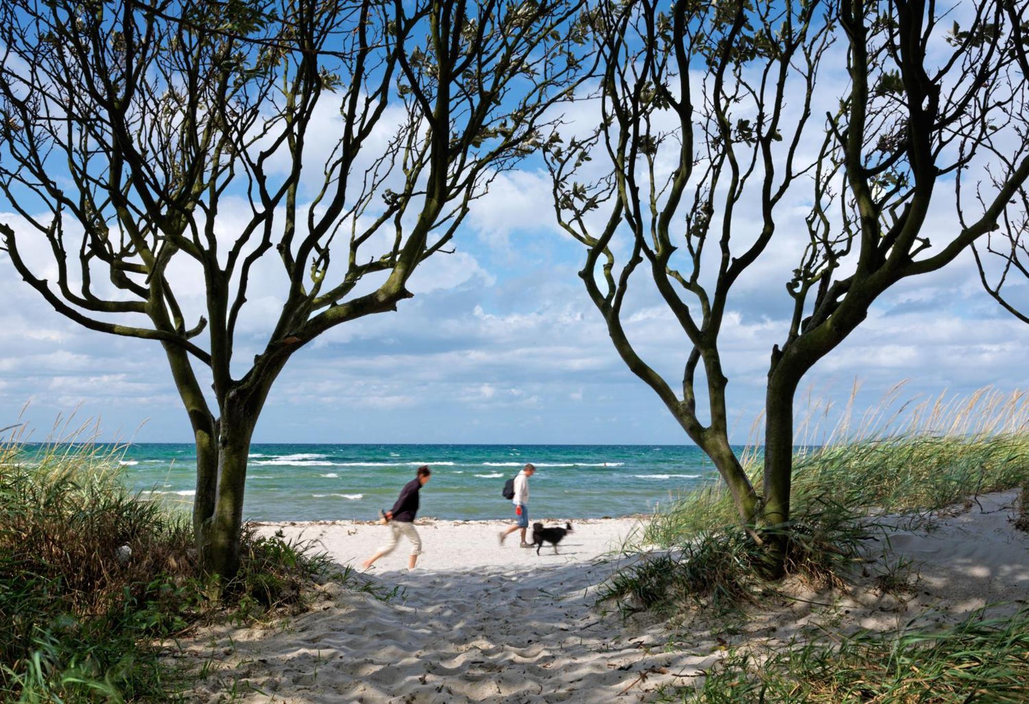 Daenische Ferienhaeuser Am Salzhaff Haus Kaept'N Nemo Insel Poel Bagian luar foto